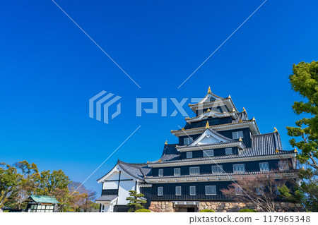 Okayama City: Okayama Castle tower shining against the blue sky Okayama City: Okayama Castle tower shining against the blue sky 117965348