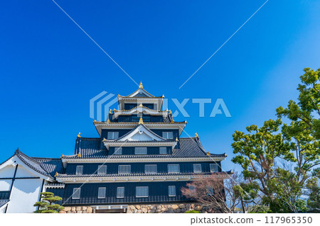 岡山市,岡山城塔在藍天的襯托下熠熠生輝 岡山市,岡山城塔在藍天的襯托下熠熠生輝 117965350