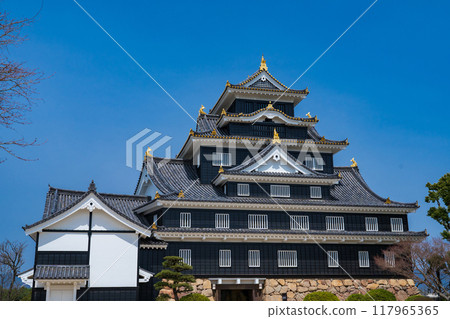 岡山市,岡山城塔在藍天的襯托下熠熠生輝 岡山市,岡山城塔在藍天的襯托下熠熠生輝 117965365