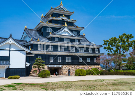 岡山市，岡山城塔在藍天的襯托下熠熠生輝 117965368