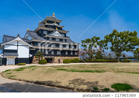 岡山市，岡山城塔在藍天的襯托下熠熠生輝 117965369