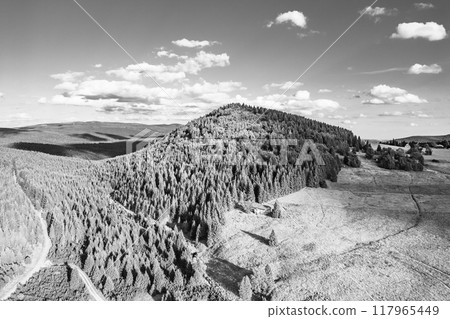 The green slopes of Bukovec Mountain rise above Jizerka village, showcasing forests and meadows under a bright summer sky during a sunny summer day. Black and white image. The green slopes of Bukovec Mountain rise above Jizerka village, showcasing forests and meadows under a bright summer sky during a sunny summer day. Black and white image. 117965449