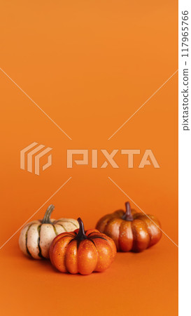 Pumpkin Group on orange background vertical copy space Pumpkin Group on orange background vertical copy space 117965766