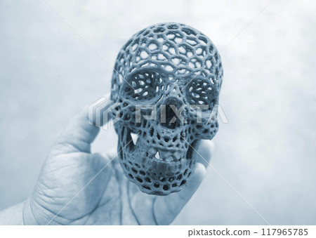 The person is holding in his hand a prototype of a human skull printed on a 3D printer. Gray human skull prototype made from molten plastic. 3D printing technology. Medicine. Medical 117965785