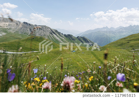 Scenic Idyllic mountain landscape panorama view of cow herd grazing on green grass wild meadow at European high Alps mountains pasture valley. Nature alpine grassland countryside Austria Tyrol scene Scenic Idyllic mountain landscape panorama view of cow herd grazing on green grass wild meadow at European high Alps mountains pasture valley. Nature alpine grassland countryside Austria Tyrol scene 117965815