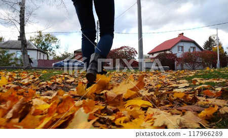 Legs of young woman stepping on yellow foliage at park. Female feet in boots going on fallen maple leaves at parkland. Girl walking at parkland at autumn season on cloudy day. Close up Slow motion Legs of young woman stepping on yellow foliage at park. Female feet in boots going on fallen maple leaves at parkland. Girl walking at parkland at autumn season on cloudy day. Close up Slow motion 117966289