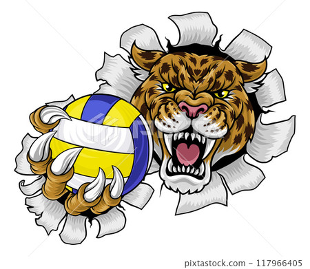 Jaguar Leopard Cheetah Panther Volleyball Mascot 117966405