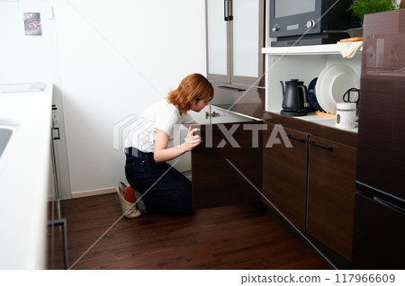 Woman opening cupboard, housewife, housework, cooking, cleaning up 117966609