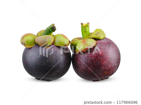 Mangosteen fruit isolated on white background. Mangosteen fruit isolated on white background. 117966896