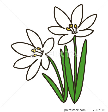 Thamas Dale 117967103