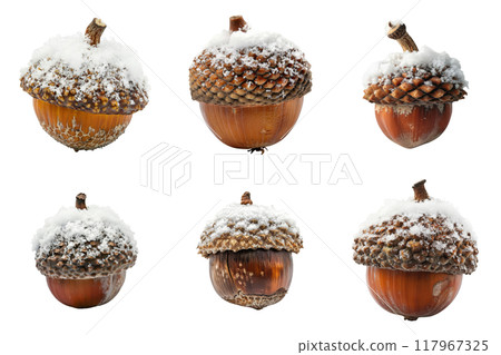 Six Snow-Covered Acorns Isolated on a White Background 117967325