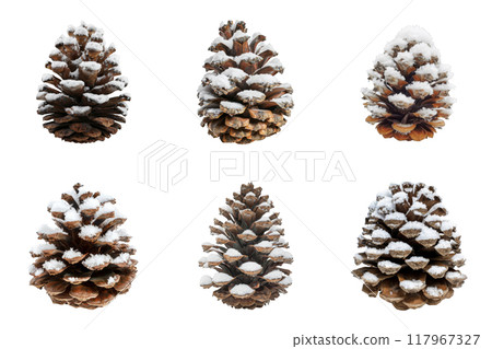 Six Pine Cones Covered in Snow 117967327