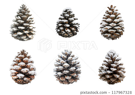 Six Snow-Covered Pine Cones Isolated on a White Background 117967328