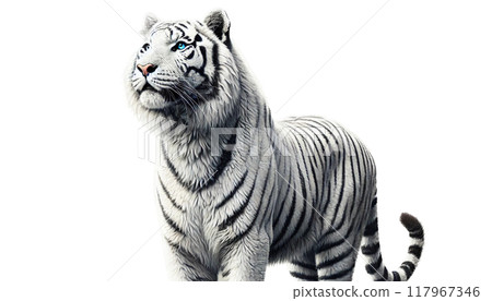 White Tiger   117967346