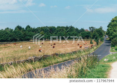 Teggs Nose Quarry, Peak District National Park, England, UK 117967944