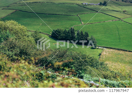 Teggs Nose Quarry, Peak District National Park, England, UK 117967947