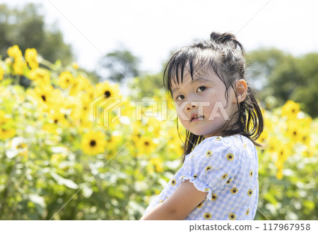girl playing in a sunflower field girl playing in a sunflower field 117967958
