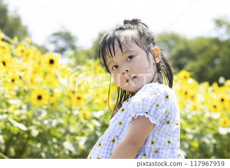 girl playing in a sunflower field girl playing in a sunflower field 117967959