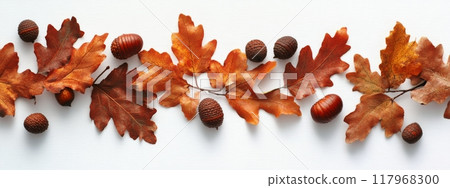 Autumn foliage with vibrant orange leaves and acorns arranged on a white background 117968300