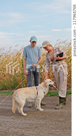 Two farmers and their Golden Retriever standing in a cornfield, with the woman petting the dog while holding a tablet. 117968766