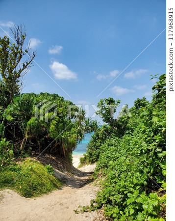 通往海灘的宮古島道路 117968915