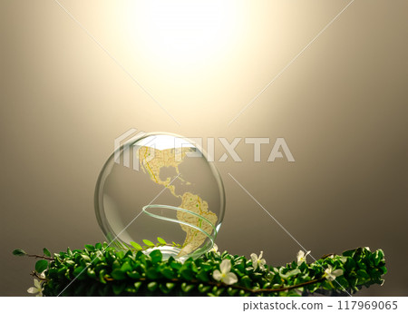 Crystal globe and greenery image material 117969065