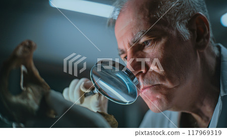 Senior archaeologist studies bones of prehistoric human or animal using magnifying glass 117969319