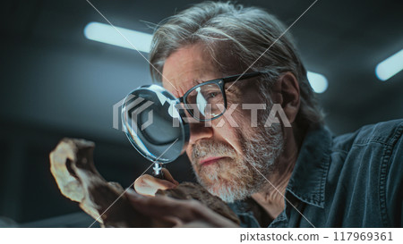 Mature archaeologist studies bones of prehistoric human or animal using magnifying glass Mature archaeologist studies bones of prehistoric human or animal using magnifying glass 117969361