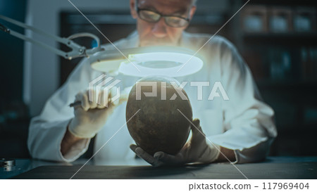 Senior archaeologist takes measurements of fossil skull in archaeological lab Senior archaeologist takes measurements of fossil skull in archaeological lab 117969404