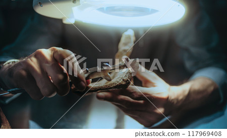 Mature archaeologist examines fossil bones under magnifying lamp 117969408