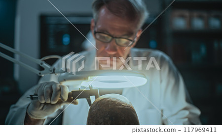 Senior archaeologist takes measurements of fossil skull in archaeological lab 117969411
