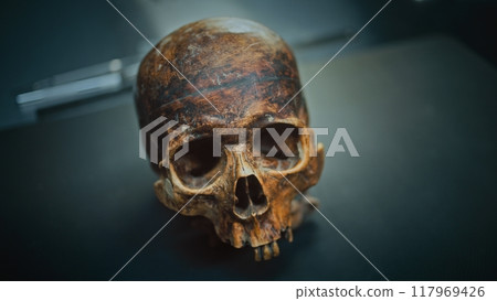 Skull of prehistoric human on working surface in archaeological lab 117969426