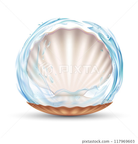 Empty open seashell. With water splashes Empty open seashell. With water splashes 117969603