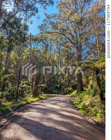 Basin Olinda Rd in Melbourne Australia Basin Olinda Rd in Melbourne Australia 117969784