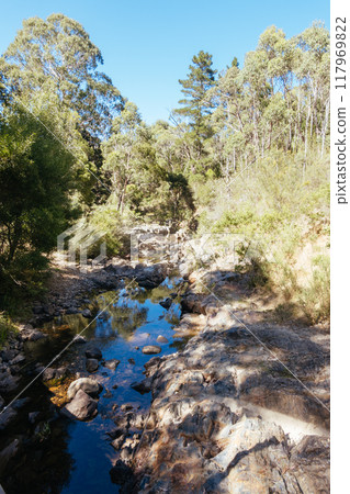 Lerderderg River Crossing in Australia 117969822