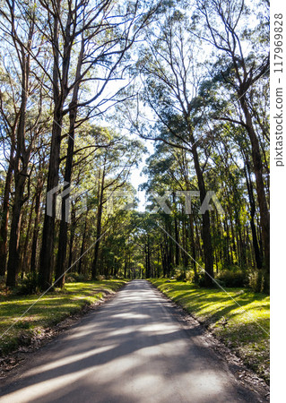 Silvan Rd in Melbourne Australia Silvan Rd in Melbourne Australia 117969828
