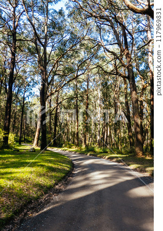 Silvan Rd in Melbourne Australia Silvan Rd in Melbourne Australia 117969831