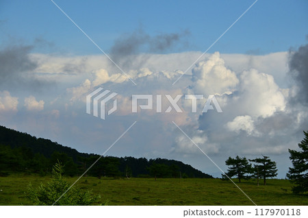 Midsummer Ikenodaira Marsh Landscape - Pink Clouds 117970118