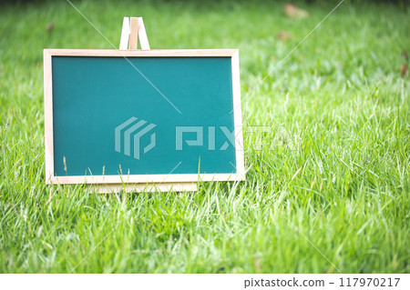 Empty Chalkboard on Lush Green Grass Ready for Custom Message 117970217