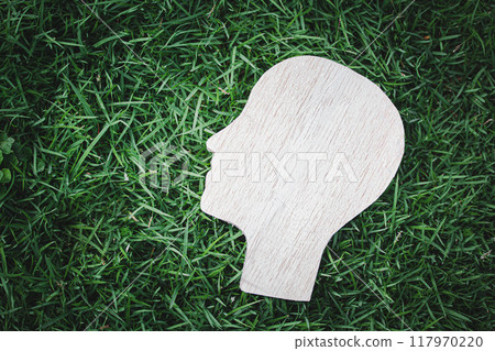 Silhouette of a Human Head on Grass 117970220