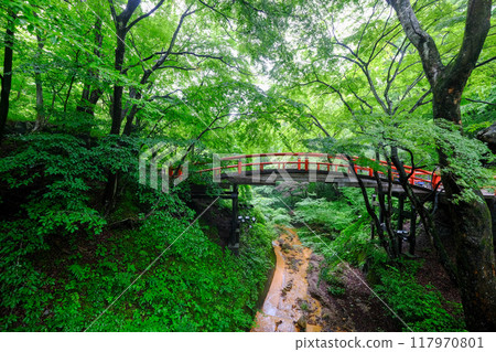 Gunma Prefecture Shibukawa City Ikaho Onsen Kawajika Bridge 117970801
