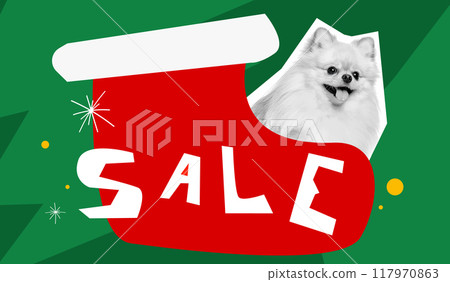 Pomeranian dog peeking out of Christmas stocking, with the word SALE against green background, Holiday shopping activity. Vector illustration. 117970863