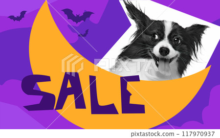 Playful Papillon dog peeking out from moon, surrounded by bats and the word SALE promoting Black Friday shopping deals for Halloween. Vector illustration. 117970937