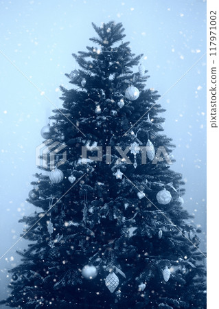 Christmas tree in blue tinting. 117971002