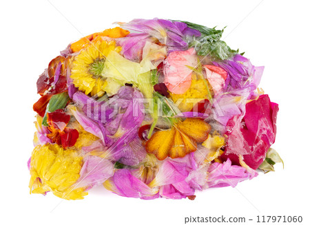 Multi-colored frozen flowers and petals on a white background. Multi-colored frozen flowers and petals on a white background. 117971060