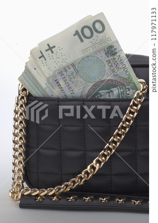 Hand Holding a Fan of Polish Banknotes Hand Holding a Fan of Polish Banknotes 117971133