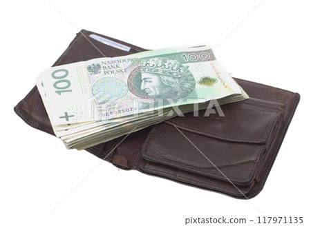 Polish 100 Zloty Notes in Black Quilted Handbag Polish 100 Zloty Notes in Black Quilted Handbag 117971135