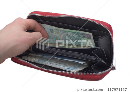 Hand with Polish Banknotes Inside Red Wallet 117971137