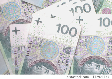 Hand Holding a Large Stack of Polish Banknotes Hand Holding a Large Stack of Polish Banknotes 117971147