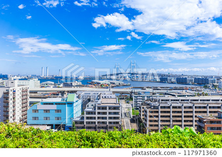 Yokohama Bay Bridge seen from the hill park with a view of the harbor Yokohama Bay Bridge seen from the hill park with a view of the harbor 117971360